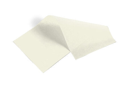 8256 - 20X30 BIRCH TISSUE PKG 480